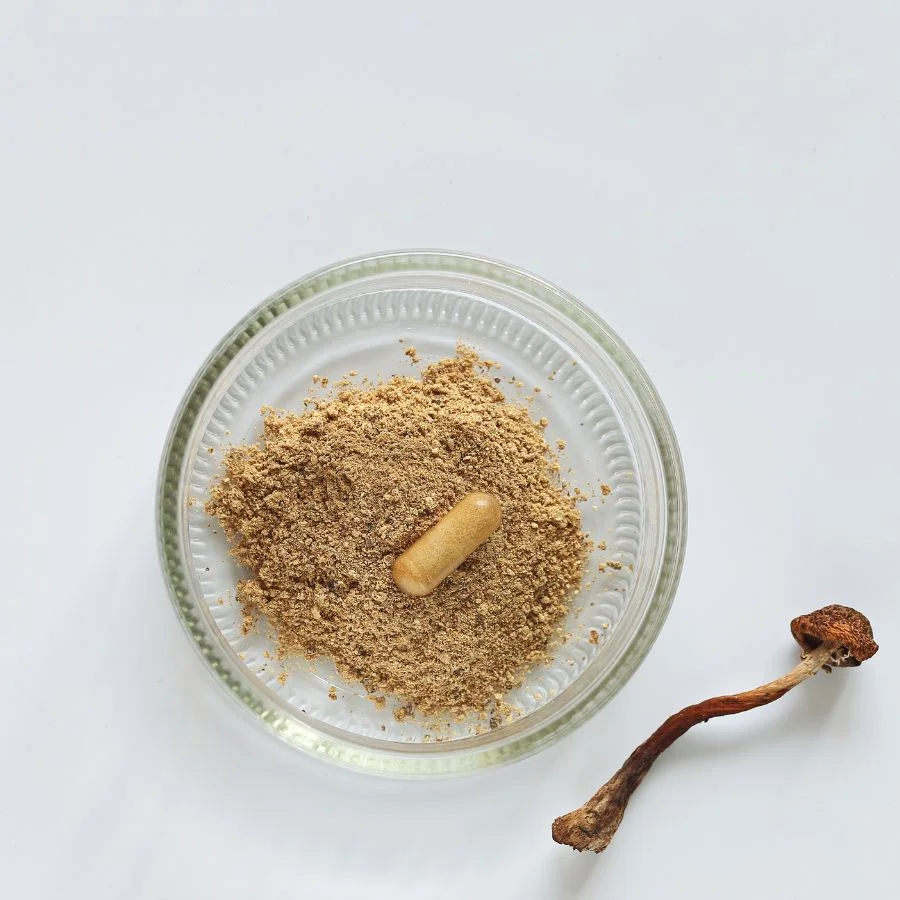 buy psilocybin mushroom