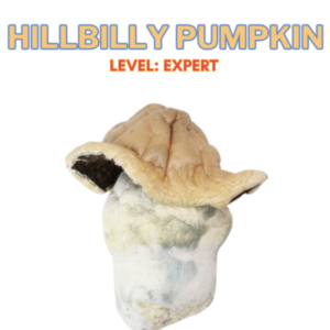 Buy Hillbilly Magic Mushrooms