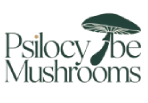 buy psilocybin mushroom